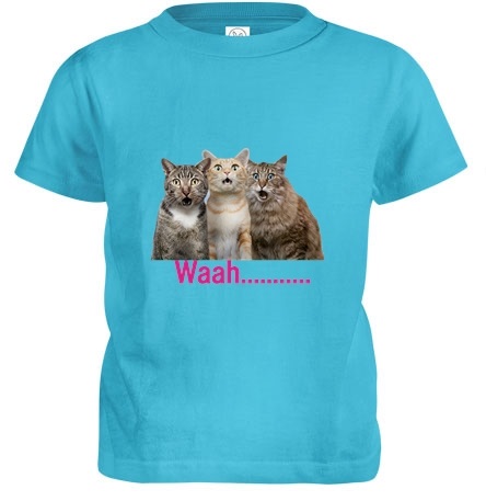 light blue surprised cats girls tee